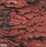 Scratch My Back - Peter Gabriel