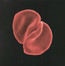 Scratch My Back - Peter Gabriel