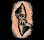 Ashes - Suma