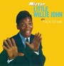Mister Little Willie John - Little Willie John