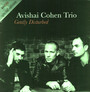 Gently Disturbed - Avishai Cohen