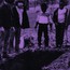 Sleep Forever - Crocodiles