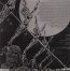 Doremi Fasol Latido - Hawkwind