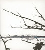 Vaere - Tenhi