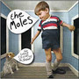 Future Sounds Of Ashton - Moles
