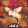What If - MR. Big