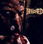 Asylum Cave - Benighted