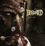 Asylum Cave - Benighted