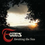 Awaiting The Sun - Fauns