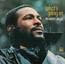 What's Going On - Marvin Gaye