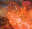 Blessed Are The Sick - Morbid Angel