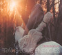 Trans-Love Energies - Death In Vegas