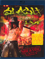 Made In Stoke 24/7/11 - Slash
