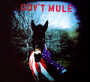 Gov't Mule - Gov't Mule