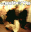If Then Else - The Gathering