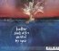 Into The Flame - Matt Corby
