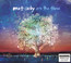 Into The Flame - Matt Corby