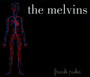Freak Puke - Melvins