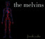 Freak Puke - Melvins