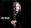 Analog Man - Joe Walsh