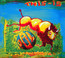 This Is Pil - Public Image Limited