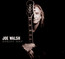 Analog Man - Joe Walsh