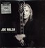Analog Man - Joe Walsh