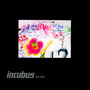 Incubus HQ -Live - Incubus