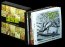 Studio Albums 1990-2009 - Green Day