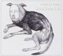 Putrifiers II - Thee Oh Sees