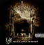 Take A Look In The Mirror - Korn