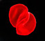 Scratch My Back - Peter Gabriel