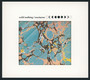 Nocturne - Wild Nothing