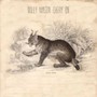 Carry On - Willy Mason