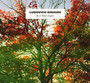 In A Time Lapse - Ludovico Einaudi