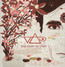 The Story Of Light - Steve Vai