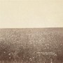 The Ash & Clay - Milk Carton Kids