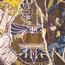 What About Now - Bon Jovi