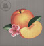 Bankrupt! - Phoenix Bankrupt! - Phoenix