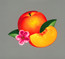 Bankrupt! - Phoenix Bankrupt! - Phoenix