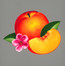 Bankrupt! - Phoenix Bankrupt! - Phoenix