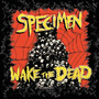 Wake The Dead - Specimen