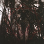 I Guilt Bearer - This Gift Is A Curse