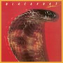 Strikes - Blackfoot