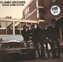 Shake Some Action - Flamin' Groovies