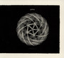 Siberia - Polvo
