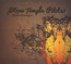 High Rise - Stone Temple Pilots