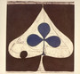 Shields - Grizzly Bear