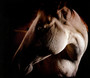 How To Kill A Horse - Brother Dege