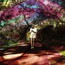 Hey Daydreamer - Sally Seltmann